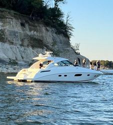 47' Sea Ray 2009 Yacht For Sale